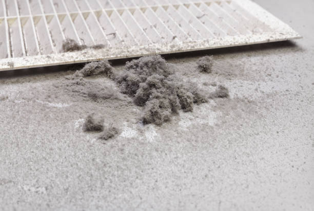Best Residential Air Duct Cleaning  in La Grange, TX